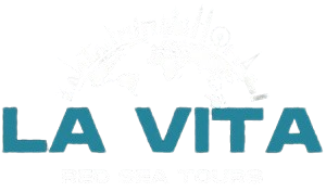 lavita-tours.com