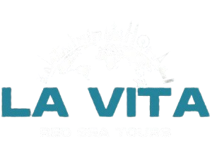lavita-tours.com